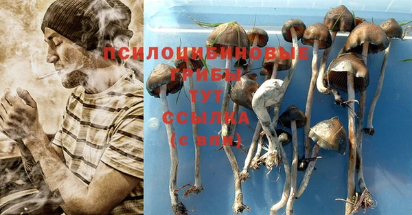 гидра Алексин
