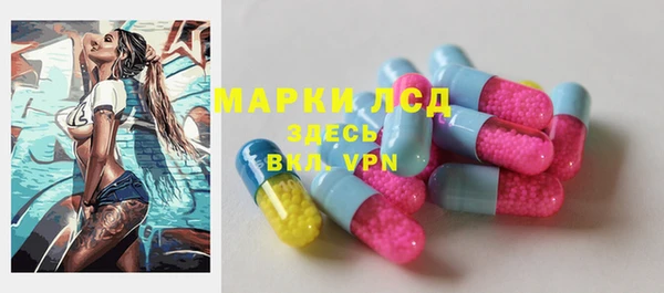 гидра Алексин