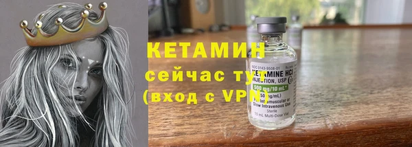 гидра Алексин